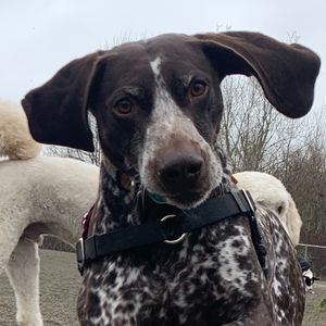 Meet your Posher, Liza